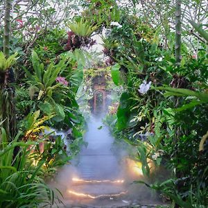 Ubud Art Resort